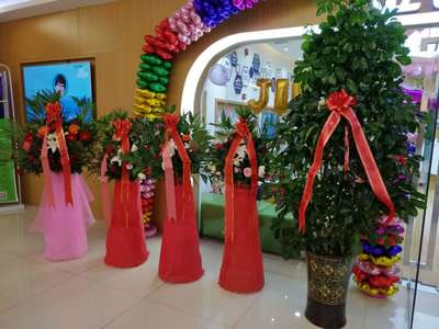 齐齐哈尔市金色雨林开业庆典圆满成功，专业服务铸就辉煌时刻